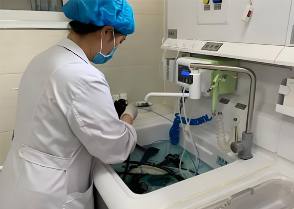 酸性氧化电位水生成器：高效广谱消毒，多领域应用解决方案